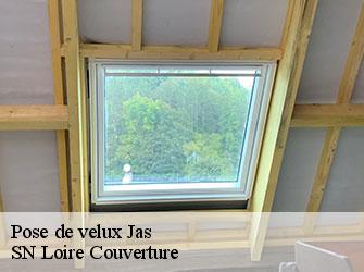 Pose de velux 42110