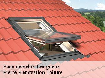 Couvreur 42 Loire  Pierre Rénovation Toiture 