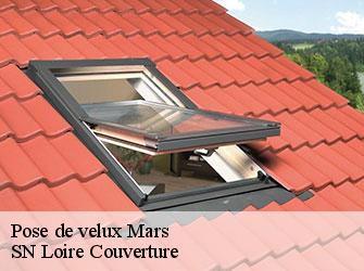 Pose de velux  mars-42750 SN Loire Couverture 
