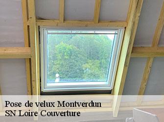 Pose de velux  42130