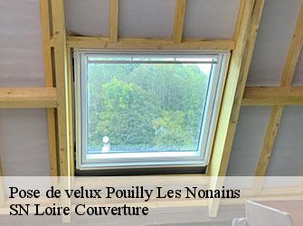 Pose de velux  42155