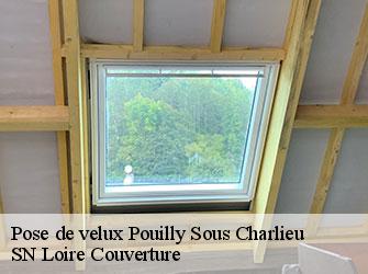 Pose de velux 42720