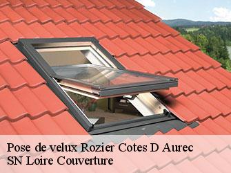Pose de velux rozier-cotes-d-aurec-42380 SN Loire Couverture