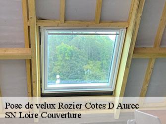 Pose de velux 42380