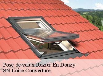 Pose de velux  rozier-en-donzy-42810 SN Loire Couverture 