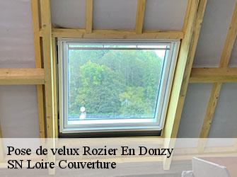 Pose de velux  42810