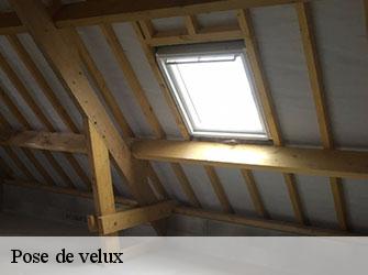 Pose de velux  42810