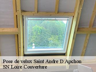 Pose de velux  42370