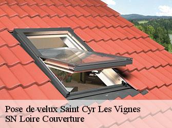 Pose de velux  saint-cyr-les-vignes-42210 SN Loire Couverture 
