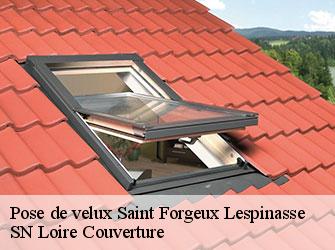 Pose de velux  saint-forgeux-lespinasse-42640 SN Loire Couverture 