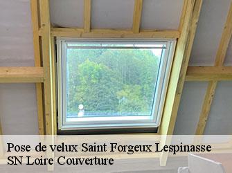 Pose de velux  42640