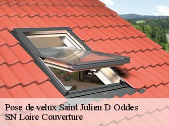 Pose de velux  saint-julien-d-oddes-42260 SN Loire Couverture 