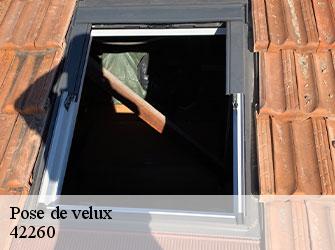 Pose de velux  42260