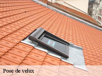Pose de velux