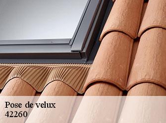 Pose de velux