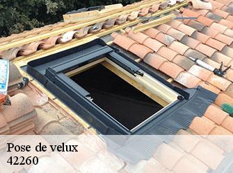 Pose de velux  42260