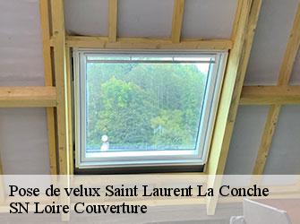 Pose de velux 42210
