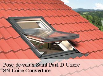Pose de velux  saint-paul-d-uzore-42600 SN Loire Couverture 