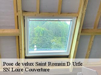 Pose de velux  42430