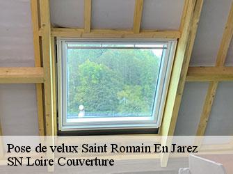 Pose de velux  42800