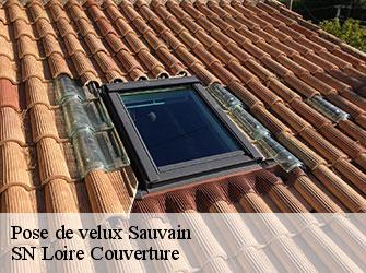 Pose de velux