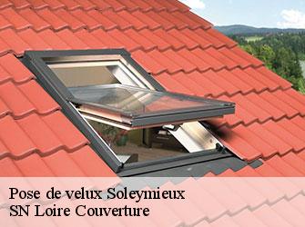 Pose de velux soleymieux-42560 SN Loire Couverture