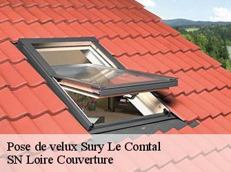 Pose de velux  sury-le-comtal-42450 SN Loire Couverture 