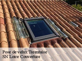 Pose de velux
