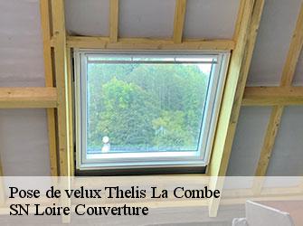 Pose de velux  42220