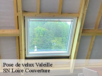 Pose de velux  42110