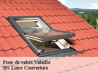 Pose de velux  valeille-42110 SN Loire Couverture 