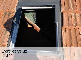 Pose de velux  42111