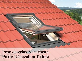 Couvreur 42 Loire Pierre Rénovation Toiture