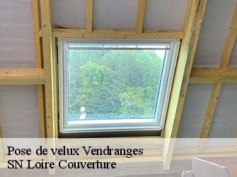 Pose de velux  42590