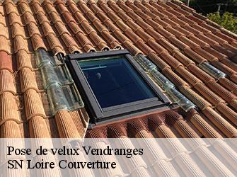 Pose de velux