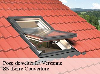 Pose de velux la-versanne-42220 SN Loire Couverture