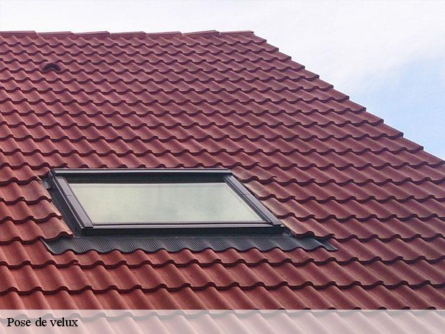 Pose de velux 42310