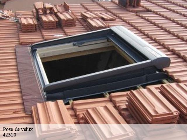 Pose de velux 42310