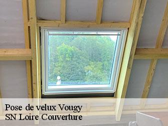 Pose de velux  42720