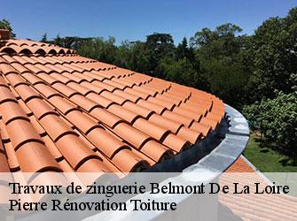 Couvreur 42 Loire  Pierre Rénovation Toiture 