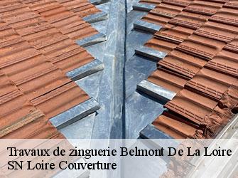 Travaux de zinguerie 42670