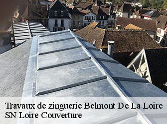 Travaux de zinguerie