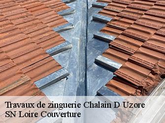 Travaux de zinguerie  42600