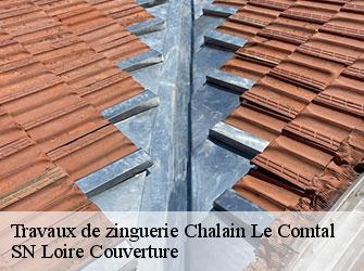 Travaux de zinguerie  42600