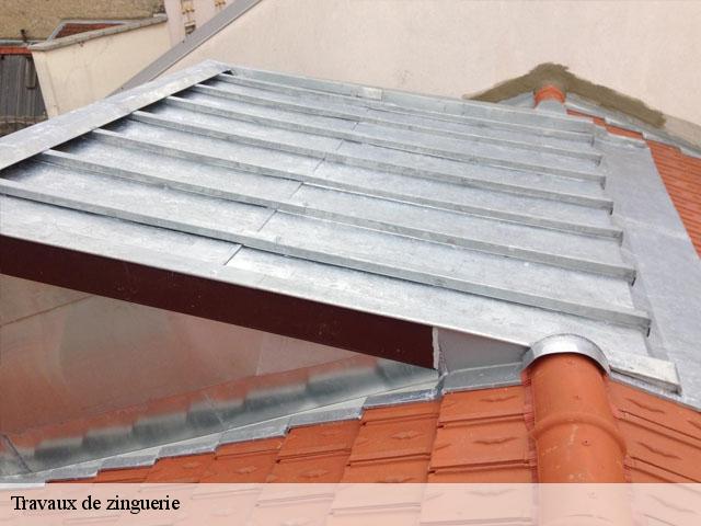 Travaux de zinguerie  42500