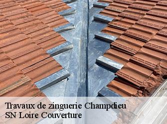 Travaux de zinguerie  42600
