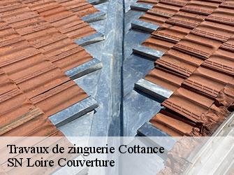 Travaux de zinguerie  42360