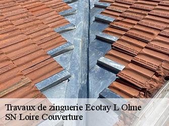Travaux de zinguerie  42600
