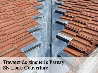 Travaux de zinguerie  42320