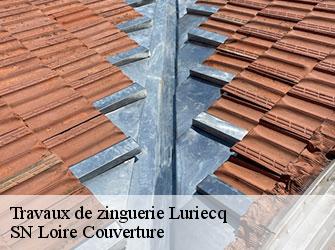 Travaux de zinguerie  42380